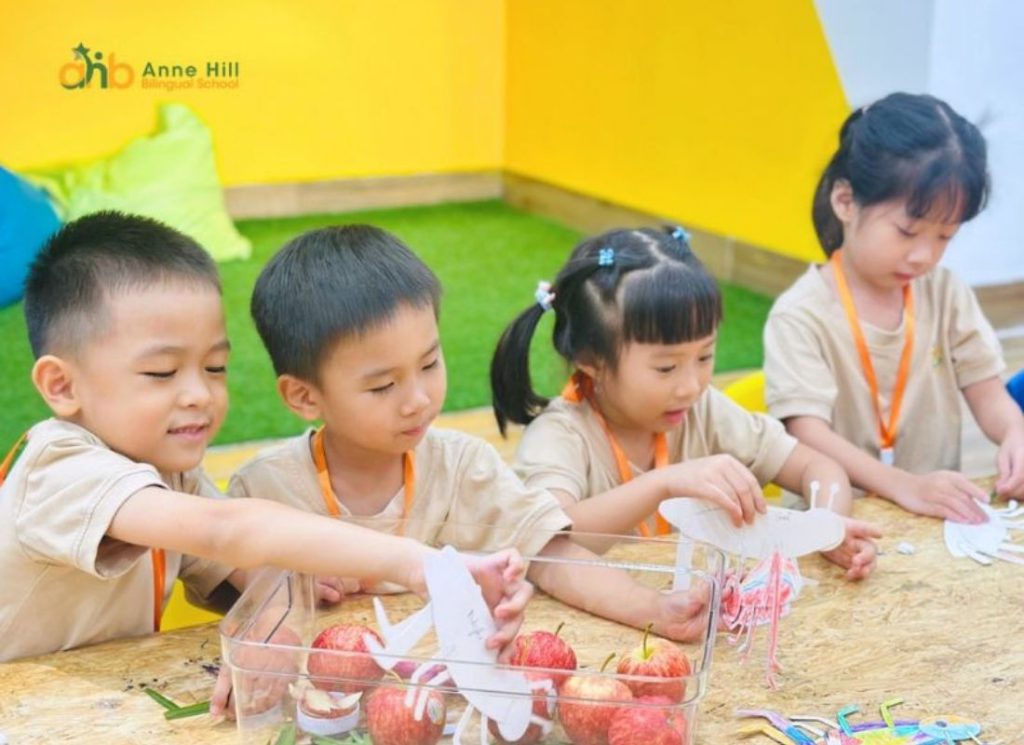 Chỉ tiêu tuyển sinh theo thông báo tuyển sinh mầm non