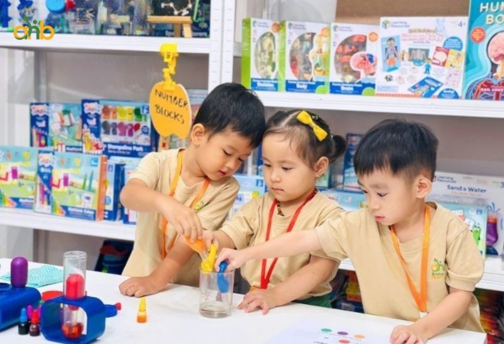 Mầm non song ngữ Hạt Mầm (Seeds Kindergarten)