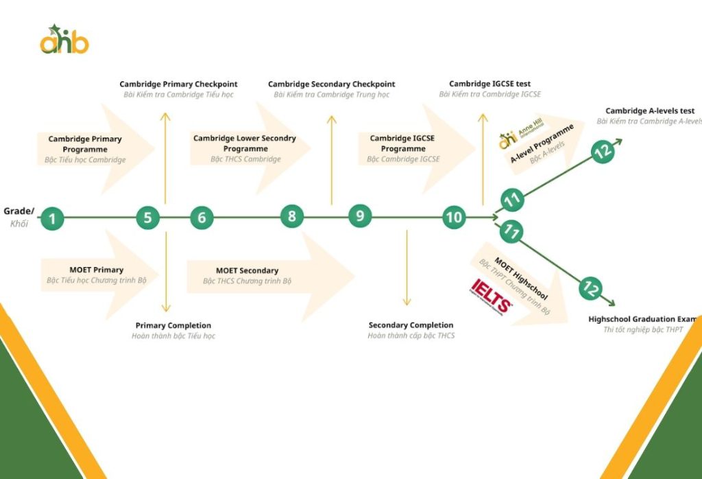 Các kỳ thi tại trường song ngữ Anne Hill