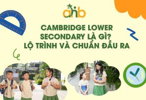 Cambridge Lower Secondary là gì? Lộ trình và chuẩn đầu ra