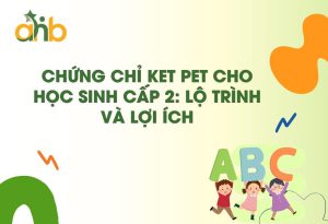 Chứng chỉ KET PET cho học sinh cấp 2: Lộ trình và lợi ích