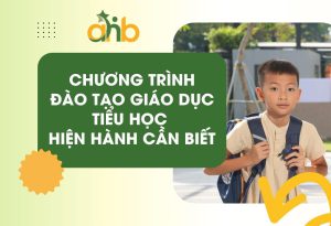 Chương Trình Đào Tạo Giáo Dục Tiểu Học Hiện Hành Cần Biết