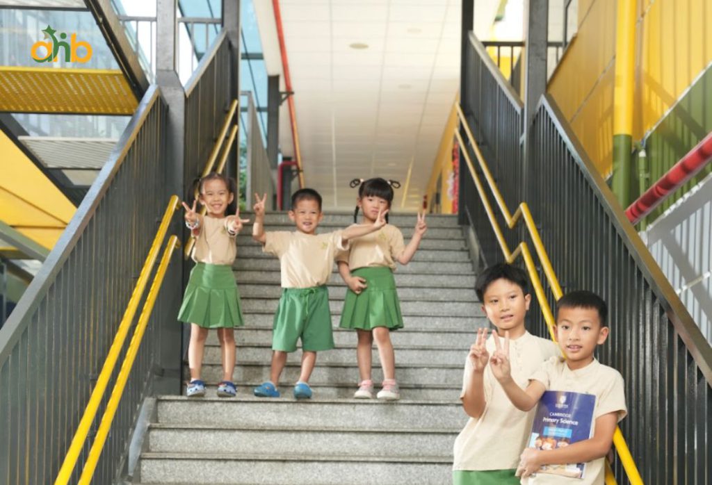 Chọn đúng chứng chỉ giúp con có mục tiêu rõ ràng và lộ trình phát triển tiếng Anh phù hợp